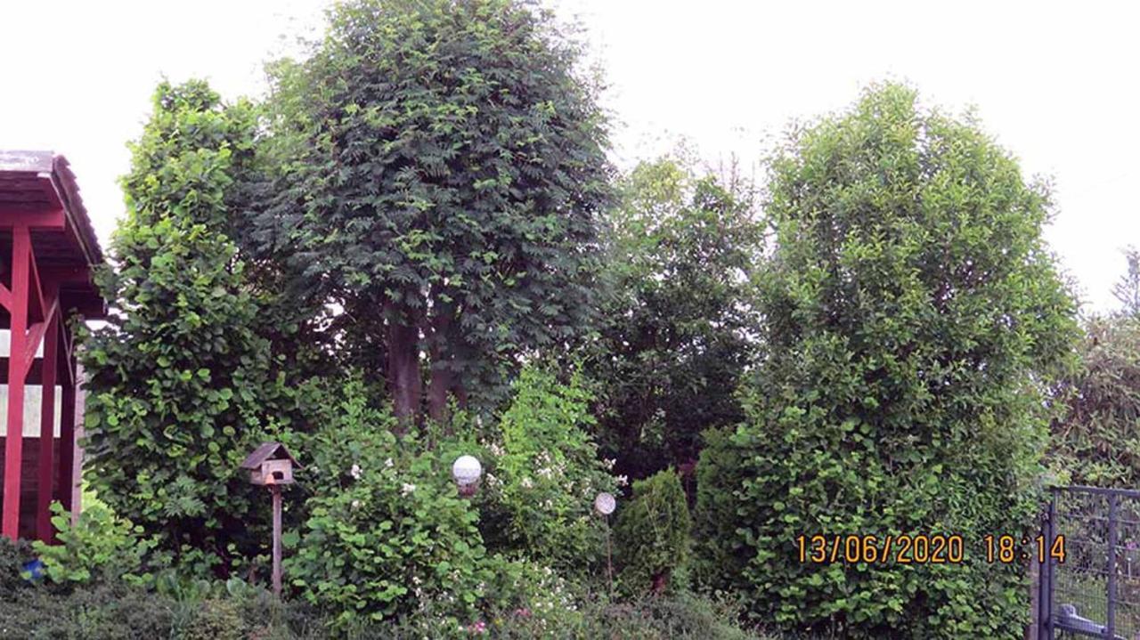 Casa Roja Villa Hilders Exterior photo